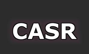 Casque Vélo CASR